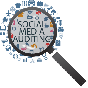 social media audit